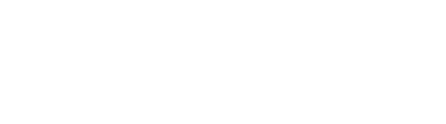 handsoff-ceo
